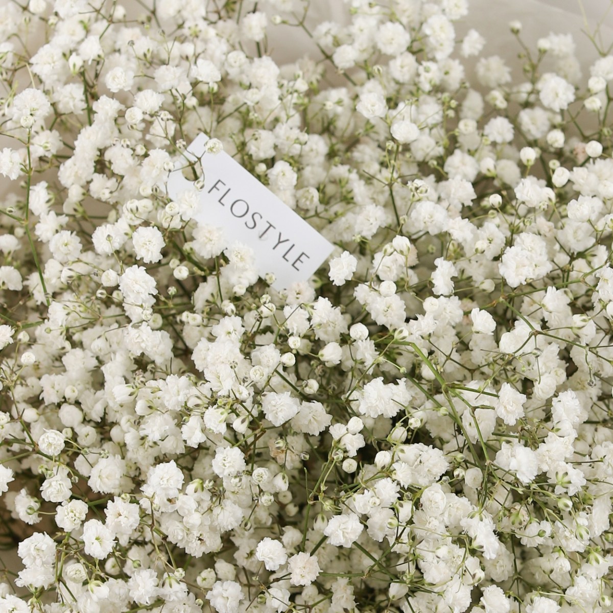 belaya gipsofila buket  7